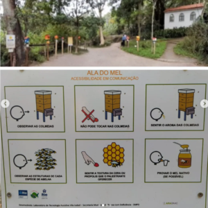 ALA DO MEL - ALDEIA MONTESSORI - UNID. MÉIER - EF - ALAMELALDEIA26 (TURMA DA MANHÃ)